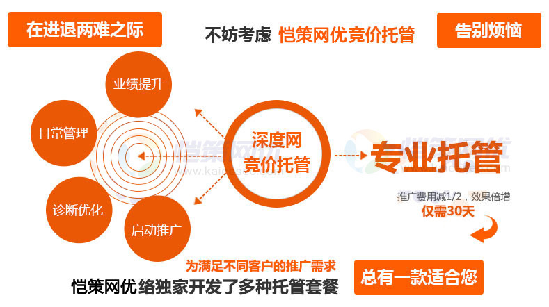 恺策网优竞价托管服务套餐总有一款适合您 恺策网优竞价托管服务套餐总有一款适合您