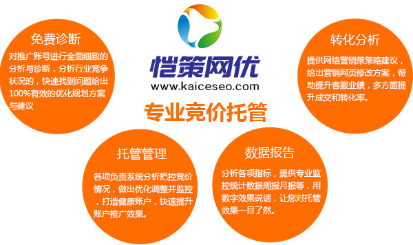 恺策网优竞价托管管家服务商